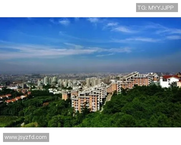 庄河足球明星全景盘点及其成就与影响力分析